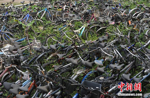 自行車墓地3000輛自行車被遺棄 四川大學(xué)空地自行車成堆