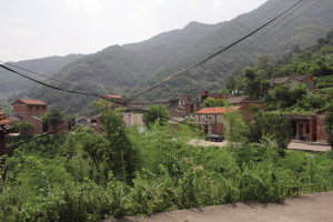 浙江義烏蜱蟲叮咬后致死