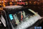 哈爾濱罕見5月飛雪應該是南方人覺得罕見 哈爾濱五
