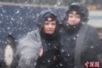 莫斯科五月飛雪 2014年5月7日莫斯科下大雪了