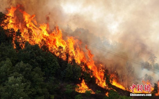 攀枝花森林火災(zāi)