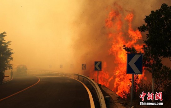 攀枝花森林火災(zāi)