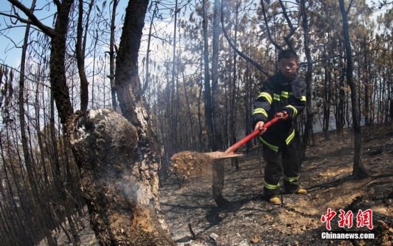 攀枝花森林火災(zāi)