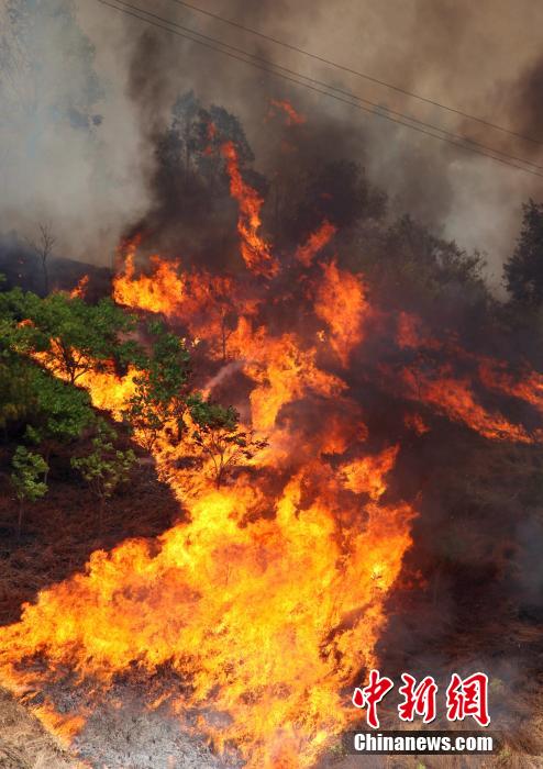 攀枝花森林火災(zāi)