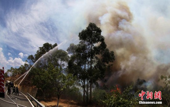 攀枝花森林火災(zāi)