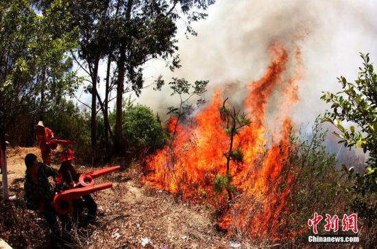 攀枝花森林火災(zāi)