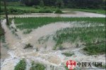 浙江暴雨持續(xù) 6月25日起浙江中北部地區(qū)有大雨到暴雨