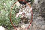 北京懷柔驚現怪獸這你也信啊?