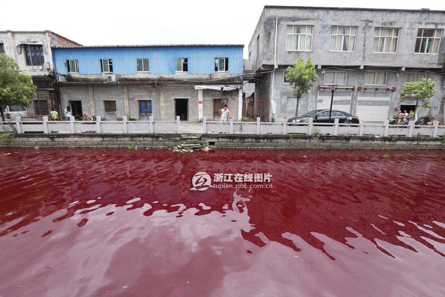 溫州河水變血水 7月24日溫州蒼南一河水全部變成血一
