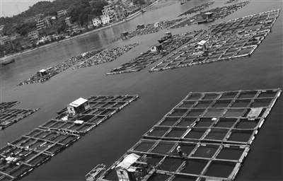 溫州沿海出現赤潮現象