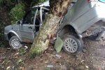 湖南駕校教練飆車發生車禍 湖南駕校教練是那家駕校