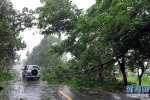威馬遜在海南省文昌市翁田鎮沿海登陸了