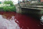 蒼南內河河水變紅 水質檢查暫未發現有害物質