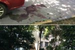 鴻基花園兇殺案 7月30日溫州鴻基花園一男子殺三人后