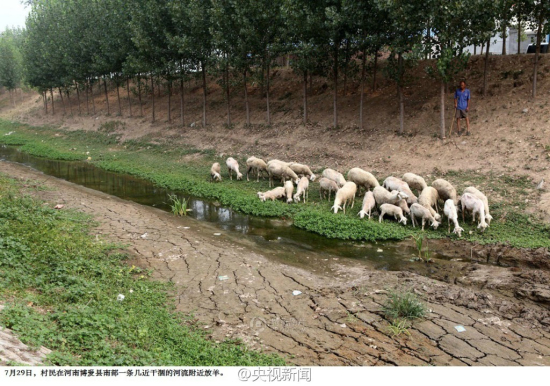 2014年河南干旱情況