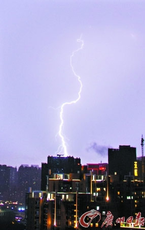 廣東雷劈數今年偏多