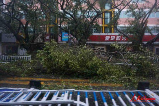 威馬遜臺風經過廣西留下一片狼藉