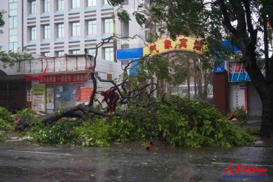 威馬遜臺風經過廣西留下一片狼藉