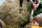 女子跳河太胖當浮尸救 肥胖有時候還能救命