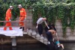 北京積水潭女尸漂浮在河面上
