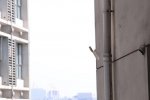 菜刀插入大樓外墻 角度令人費解