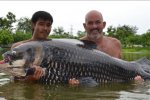 暹羅鯉魚是世上最大的鯉魚 被游客用面包釣到