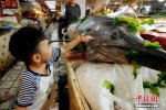 青島漁民捕獲箭魚王 重達412斤