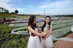 世界上最長的婚紗4100千米 婚紗這么長有什么用
