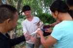 活剝小貓事件 溫州江心嶼景區多名外地人活剝小貓