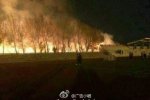 男生表白引大火 遼寧大一男生向學姐表白放煙花