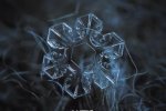 今日小雪 見過雪花的真面目嗎