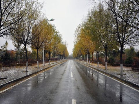 南方樹(shù)葉還很綠，內(nèi)蒙古已經(jīng)秋葉落盡