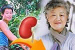 聶樹斌案新進展 章含之用了聶樹斌的腎