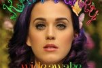 水果姐為什么叫水果姐 KatyPerry被大家叫水果姐原因是