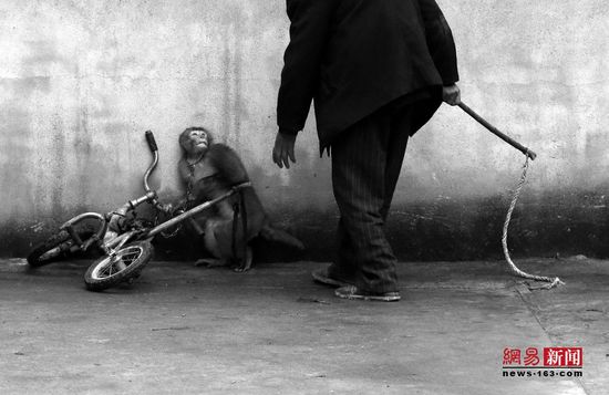 荷賽獎(jiǎng)獲獎(jiǎng)作品