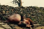 女子戴耳機過鐵軌被撞死