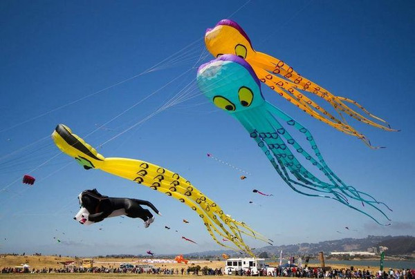 2015年濰坊風箏節
