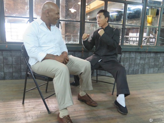 甄子丹誤傷泰森