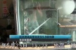 日本地震最新消息 今天日本埼玉縣北部發生5.6級地震