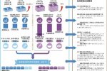 北京平均工資為77560元