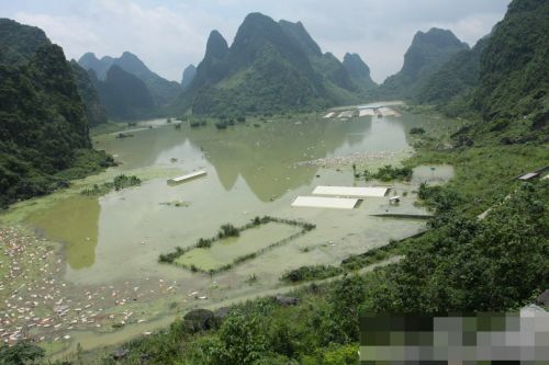 廣西一養(yǎng)殖場被淹