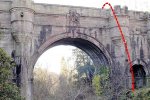 英國600只狗跳橋自殺 傳說這座鬼橋遭詛咒