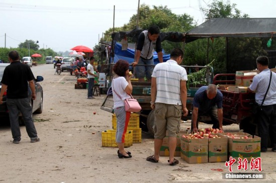 陜西多地油桃滯銷