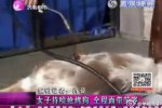 女子持噴火槍烤狗視頻讓人憤怒 虐狗時面帶笑容