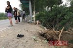 今早房山發生車禍 公交站臺5人被撞死