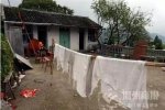 永嘉誤食毒蘑菇事件悲劇結(jié)果 中毒的6人全部死亡