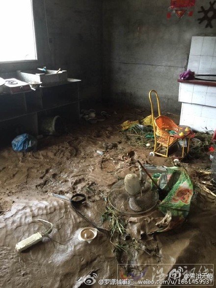 臺風蘇迪羅災情報告