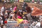 二十噸蘋(píng)果遭哄搶 24日河南村民哄搶20噸蘋(píng)果