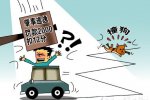 撞狗逃離被扣12分 男子撞狗后逃離被扣12分