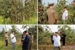 金正恩視察大同江果樹農(nóng)場喜笑顏開